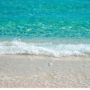 Meet your Posher, Jodi